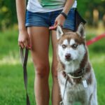 Can you really afford a large dog like Pit Bull?